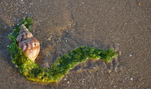 On the Beach No:03